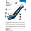 China Best Buys Energysaving Fjzy Customized Escalator